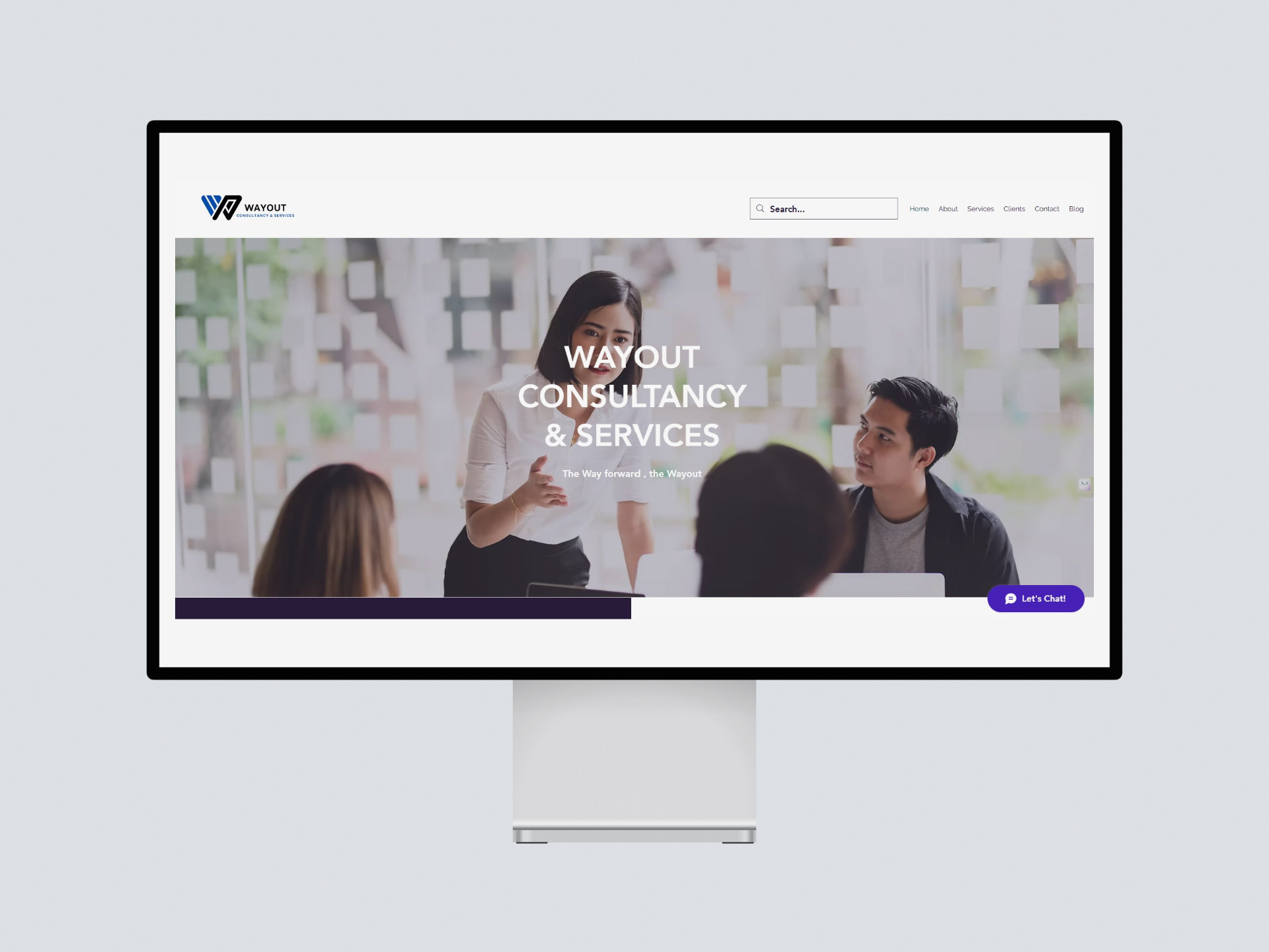 Wayout Consultancy FMCG Website